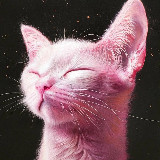 Аватарка канала "КОШАЧИЙ СМЕХ"