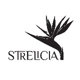 Аватарка канала Strelicia (Wildberries Geo)