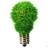 Аватарка канала Дачные советы 🏡