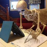 Аватарка канала Жизнь студента медицинского университета👨‍⚕