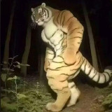 Аватарка канала "Macan Ton"