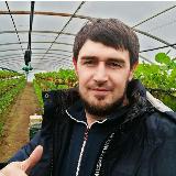 Аватарка канала Свой Сад