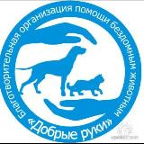 Аватарка канала Добрые руки Ростов-на-Дону