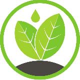 Аватарка канала АВАЛОН