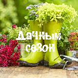 Аватарка канала ДАЧНЫЙ СЕЗОН