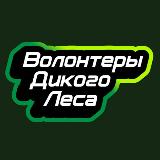 Аватарка канала Волонтёры🦔«Дикого Леса»🐇