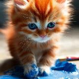 Аватарка канала Я художник, я так вижу ☝🏻