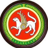 Аватарка канала Мобилизация в Татарстане