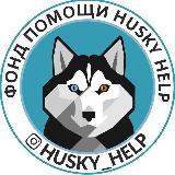 Аватарка канала Husky Help