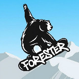 Аватарка канала FORESTER TRAVEL