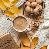 Аватарка канала Катерина Мышкина/ katerina.myshkina_