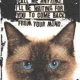 Аватарка канала Design Canva • GRATIS