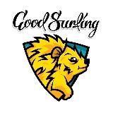 Аватарка канала Goodsurfing