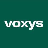 Работа в VOXYS avatar