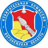 Аватарка канала ИЗБИРКОМ Воронежской области