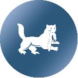 Аватарка канала Город Иркутск