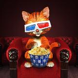 Аватарка канала Кинолюбители