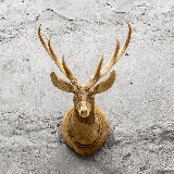 Аватарка канала LoftDesigne