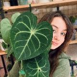 Аватарка канала 🍃 рисование и флора 🍃