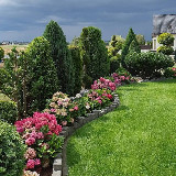 Аватарка канала Мой сад