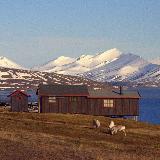 Аватарка канала Только качественные карты