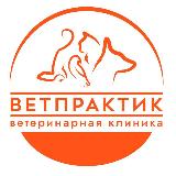Аватарка канала Ветеринарная клиника Ветпрактик