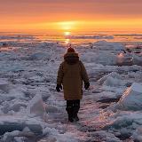 Аватарка канала "Арктический следопыт"