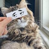 Аватар канала 1882494543