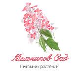 Аватар канала 1759295597