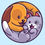 Аватарка канала ЖИВОТНЫЕ | ПИТОМЦЫ | ПРИРОДА