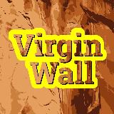 Аватарка канала virginwall