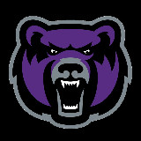 Аватарка канала PurpleBear
