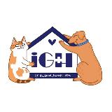 Аватарка канала In_good_hands_vet