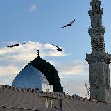 Аватар канала 1211905853