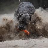 Аватар канала 1729003900