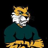 Аватарка канала Tiger Insight Community™️