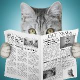 Аватарка канала Агрегатор. Хорошие новости