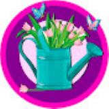 Аватарка канала Цветочные Мечты