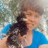 Аватарка канала _katya_v_dome