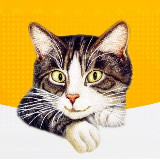 Аватарка канала Усатый Юмор