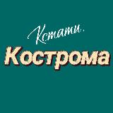 Аватар канала 2140089076