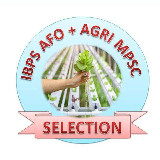 SO AFO EXAM avatar