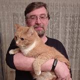 Аватарка канала Алексей Гончаров и его кот