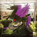 Аватарка канала Садовый Троль