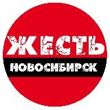 Аватарка канала Жесть Новосибирск