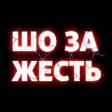 Аватарка канала ШО ЗА ЖЕСТЬ?