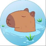 Аватарка канала Бар Капибар