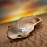 Аватар канала 1695783577