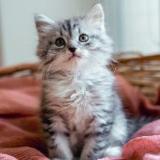 Аватар канала 1769813610