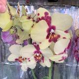 Аватар канала 2255384477